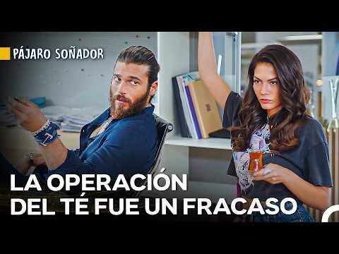 ¿Can Recordará Todo? - Pájaro Soñador
