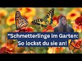 Entdecke die besten Pflanzen Tipps um deinen Garten in ein Paradies für Schmetterlinge zu verwandeln
