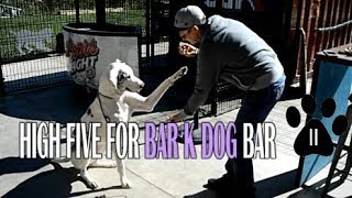 St. Louis to Fort Collins | Bar K Dog Bar |  I70 Dog Parks | Ft. Collins Lakeside KOA | (Ep. 6)