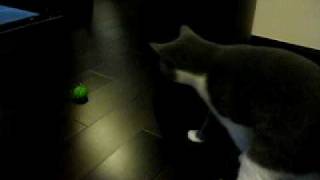 MVI_6325.AVI