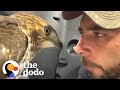 This Guy Keeps Rescuing Wild Animals | The Dodo