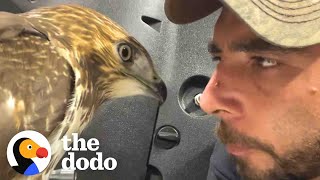 This Guy Keeps Rescuing Wild Animals | The Dodo