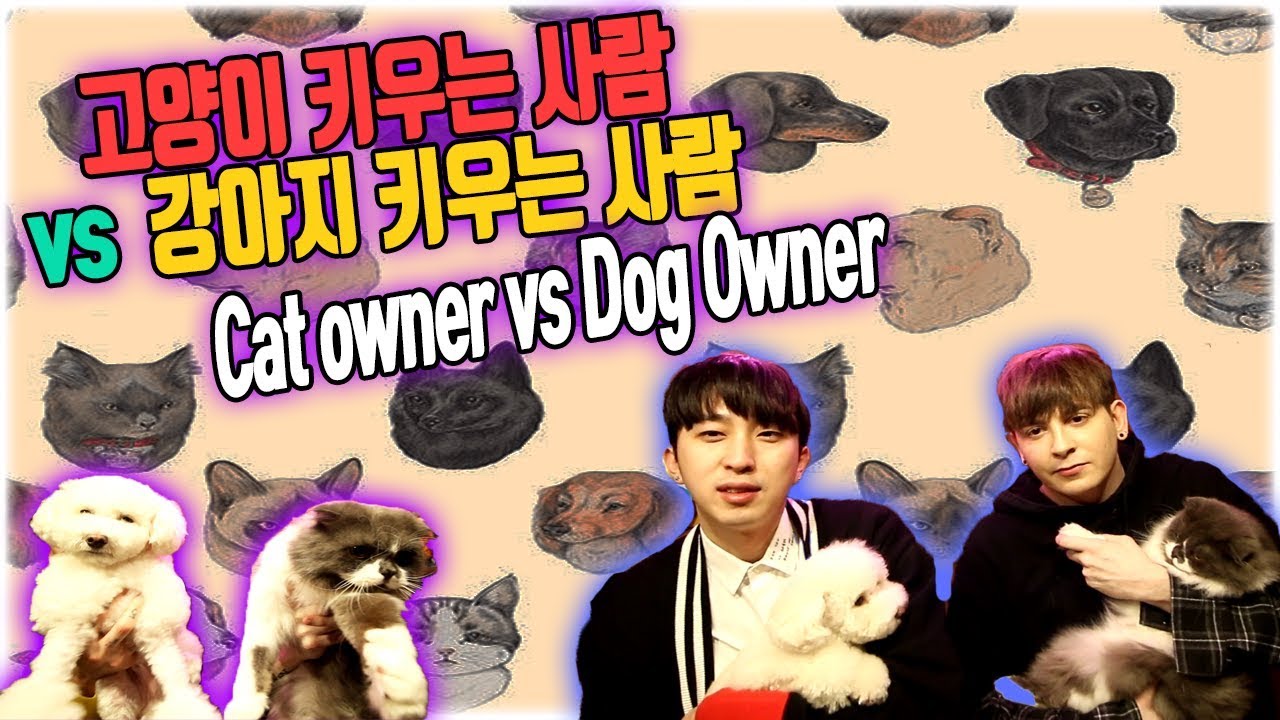 vs-feat-cat-owners-vs-dog-owners-ft