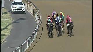 Vidéo de la course PMU ITSARUSH.CO.ZA MAIDEN PLATE (F & M)
