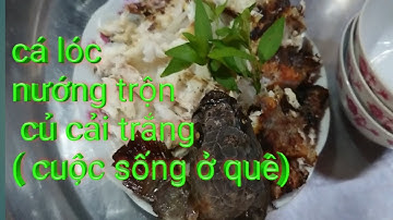 Món ngon miền quê | Món ngon ngày tết | Cá lóc nướng trộn gỏi củ cải trắng | Trong Nguyen Vlog