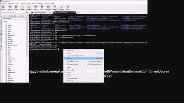 How to Deploy Metadata Dictionary in OBIEE Part 1