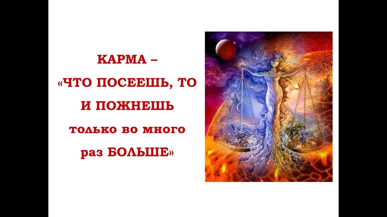 Принцип бумеранга в жизни. Моментальная карма. Закон кармы. Подборка справедливости. Цитаты про карму смешные.