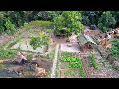 Video: Monet-puutarhan suunnitteluideoita: Monet-puutarhan istuttaminen