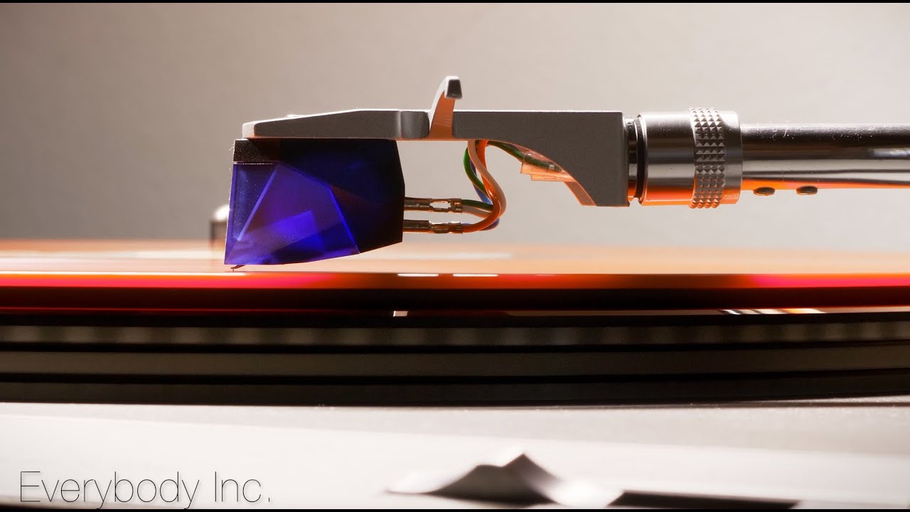 Everybody Inc. by Harry J.