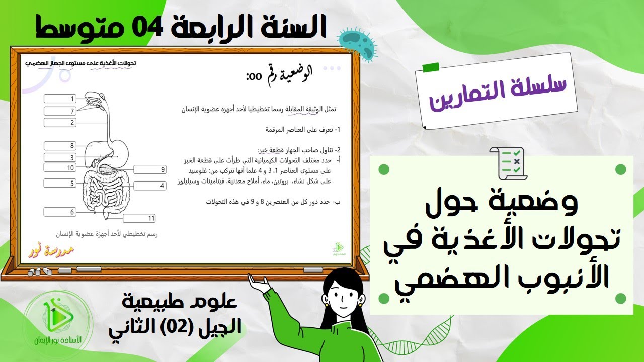 تمرين حول تحولات الأغذية في الأنبوب الهضمي علوم طبيعية سنة 04 متوسط