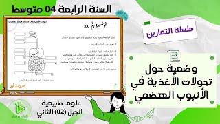 تمرين حول تحولات الأغذية في الأنبوب الهضمي علوم طبيعية سنة 04 متوسط