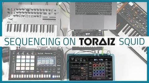 TORAIZ SQUID Tutorials Part 3 - Sequencing  | Bop DJ