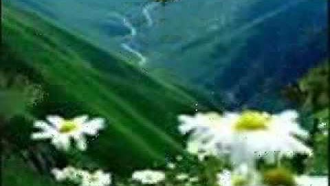 سورة الرحمن كاملة - إمام الحرم المكي ياسر الدوسري