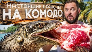 видео: КОМОДО — ОСТРОВ ДРАКОНОВ / Розовый пляж. Дикие вараны. Парк Комодо картинка: КОМОДО — ОСТРОВ ДРАКОНОВ / Розовый пляж. Дикие вараны. Парк Комодо