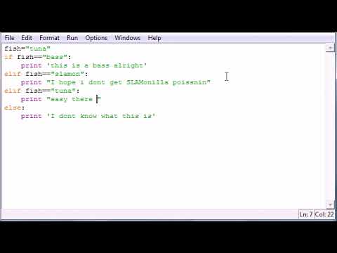 Python Programming Tutorial   21   else and elif