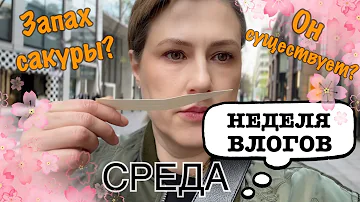 Tokyo Vlog. Чем пахнет сакура? Японский трактир и неприятный запах в бутике.