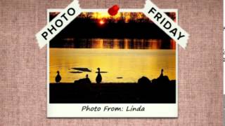 Photo Friday - 3/20/15