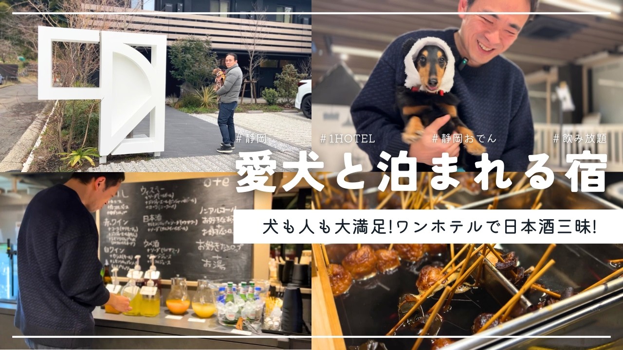 【犬連れ旅行静岡宿】愛犬と泊まれる宿\1HOTEL(ワンホテル)/でベロベロになる夜🍶1泊2日わんこ旅2/3 2025.2