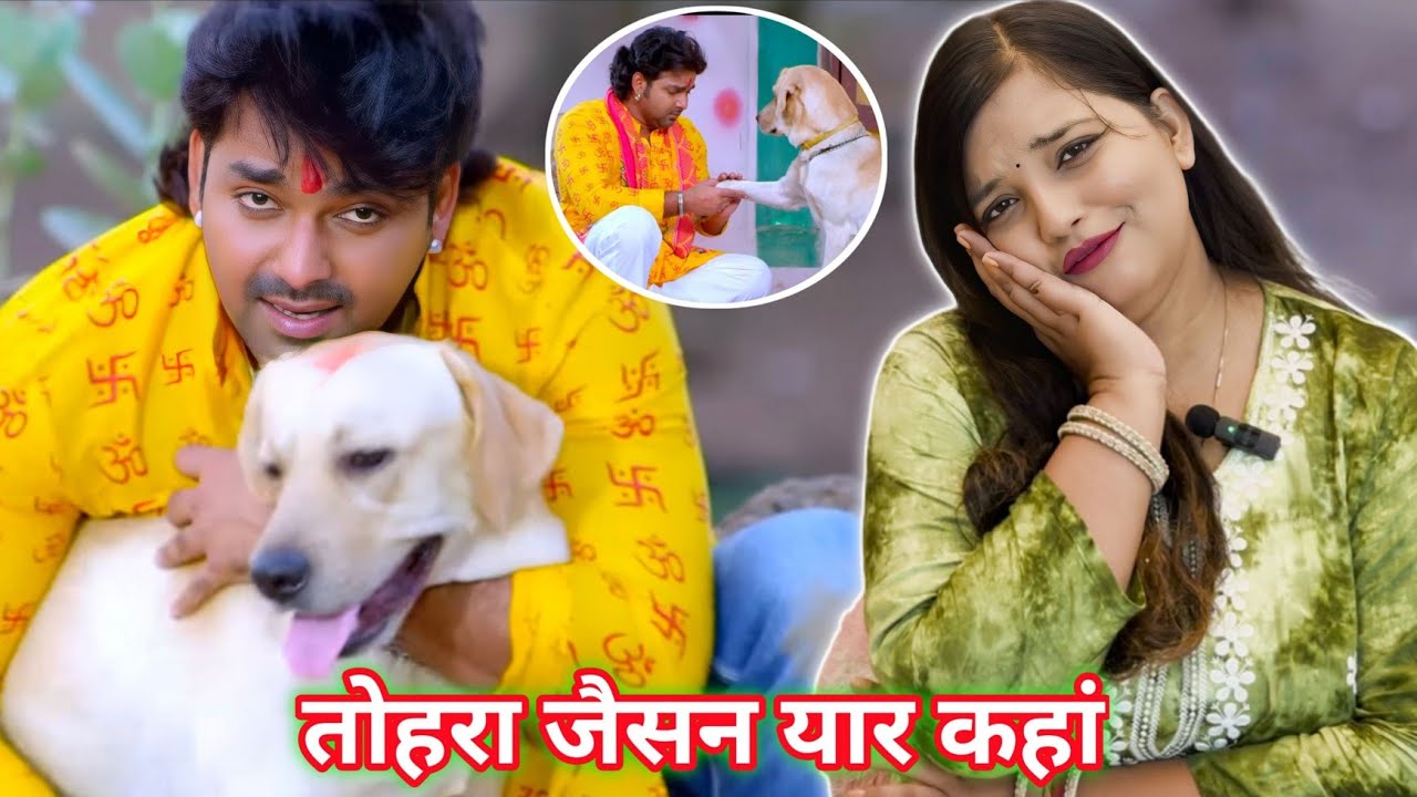 Tohra Jaisan Yaar Kahaan🔥 TERE JAISA YAAR KAHAN | Pawan Singh Old Song | REACTION | BHOJPURI CHILLIZ