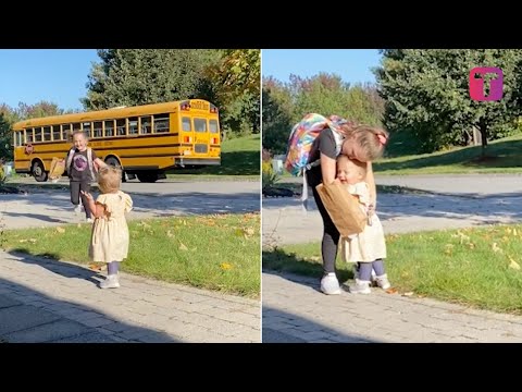 Toddler Runs To Greet Sister Off School Bus Every Day