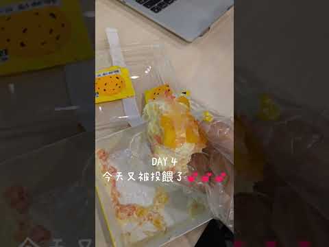 連續一週上六小時課的日子💻📖 #singapore #students #uob #dailyvlog #daily