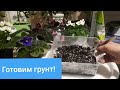 Как приготовить Идеальный Грунт для Фиалок?