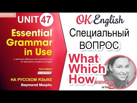 Unit 47 Вопрос с what, which, how. Специальный вопрос в английском | OK English Elementary