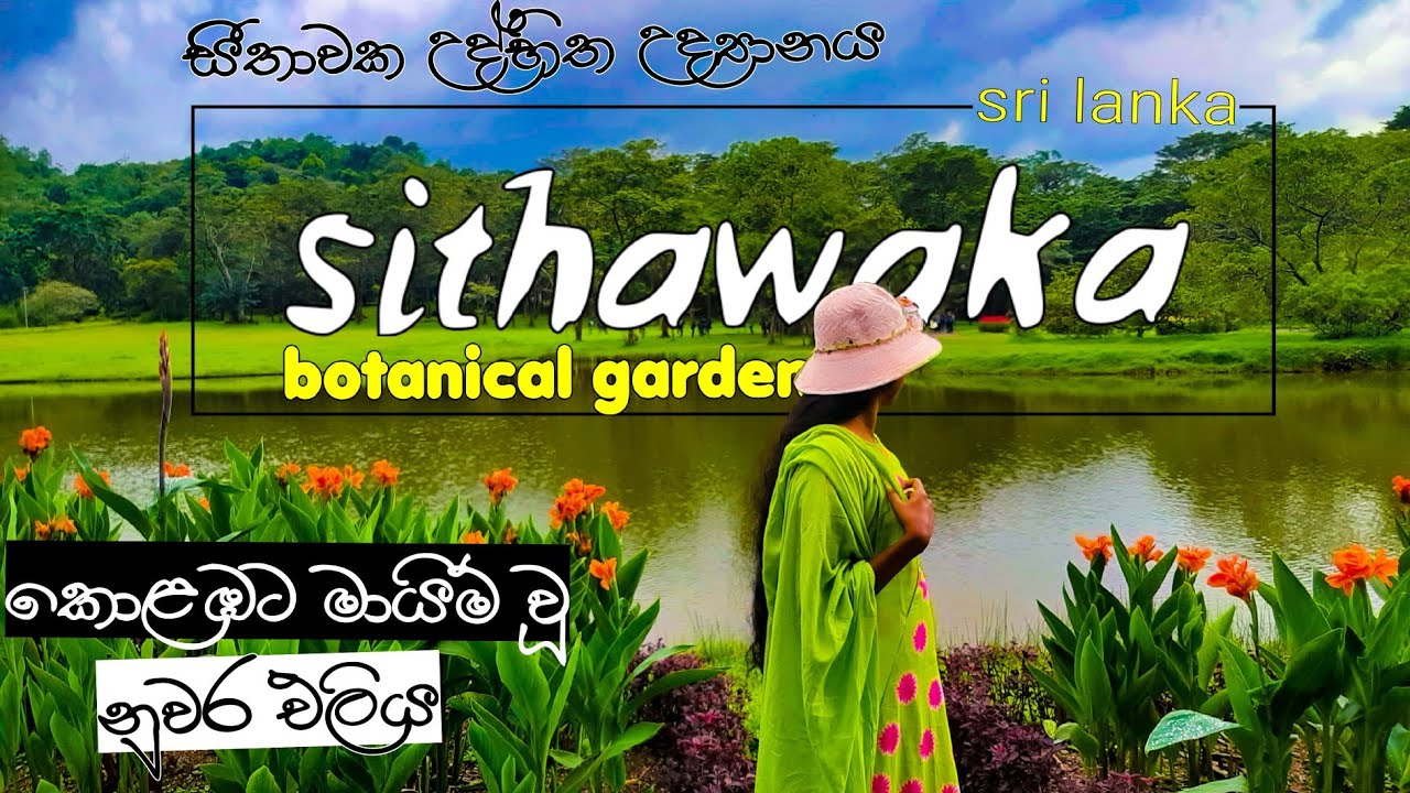 sithawaka botanical garden| best photo location near Colombo. 