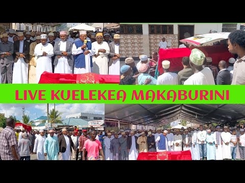 Kokrak va mushuklar porno video onlayn Ona va ogil jinsiy aloqa 2012