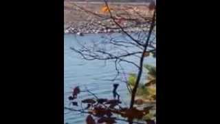20141117 820616RESIZE