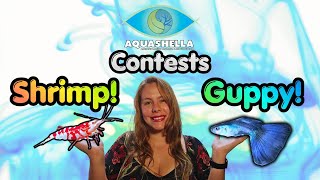 The American Shrimp Contest & Guppy Show | Aquashella Orlando 2026