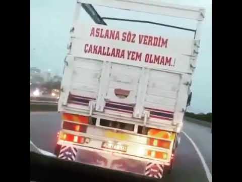 Aslana söz verdim çakallara yem olmam