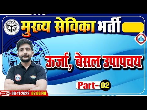 वीडियो: क्या उपचय प्रतिक्रियाओं से ऊर्जा निकलती है?