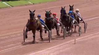 Vidéo de la course PMU PRIX DE CHAUDES AIGUES