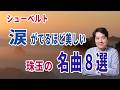 【名曲紹介】涙がでるほど美しい!シューベルトの名曲を8曲紹介