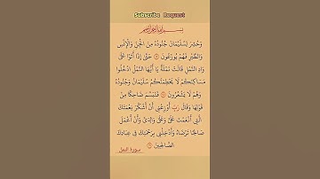 سورة النمل بصوت مريح #اكسبلور #الله #duet #الرحمن