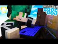 GUARDA SOLO se sei un VERO GAMER - Minecraft ITA SURVIVAL #885