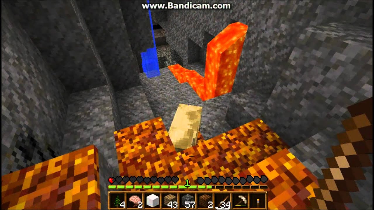 The Squash Crew - Minecraft SMP - Episode 5: I Love All Animals