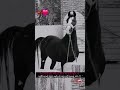 #horse #love ❣️❤️‍🩹🐎 #ihavethisthingwithplants #lifeisbutadream
