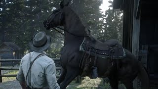 TAMING A HORSE AND GIVING BIRTH TO A FOAL | RDR2 #58 screenshot 5