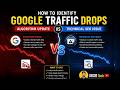 How to Identify Google Traffic Drops: Algorithm Update vs Technical SEO Issue | SKSR Tech