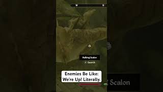 Enemies Be Like: We’re Up! Literally. #OblivionRemastered #GamingGlitch #ElderScrolls #FunnyMoments