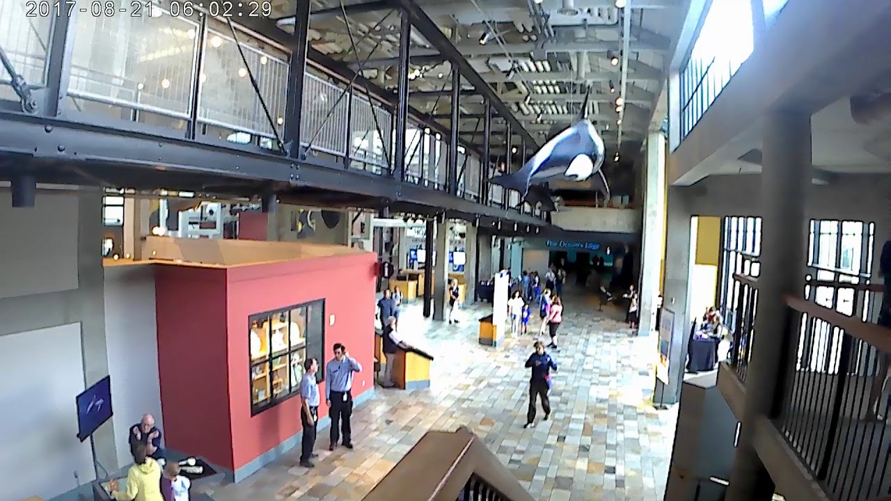 Monterey Bay Aquarium August 2017