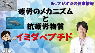 疲労のメカニズムと抗疲労物質イミダペプチド