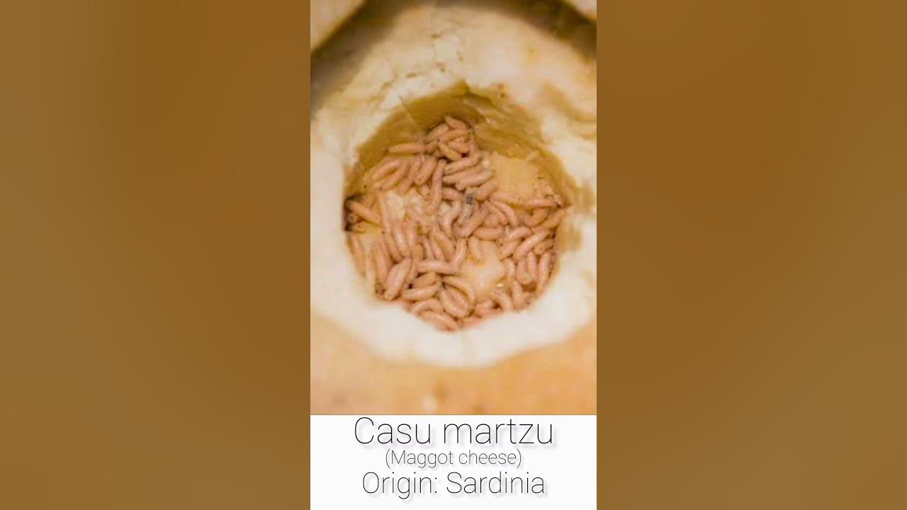 weirdest-food-from-around-the-world-pt-1-shorts-food-weird