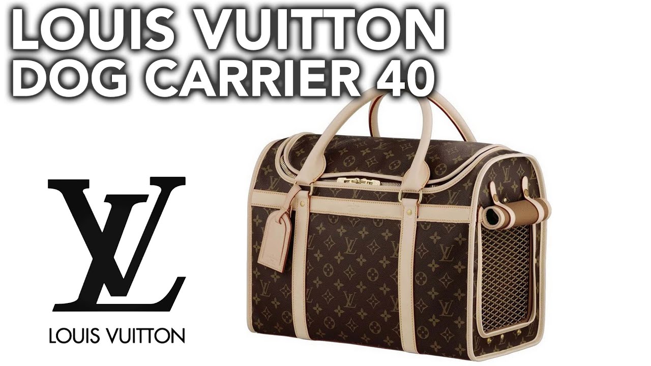 LV monogram sac chien 40 pet carrier bag review by steven 