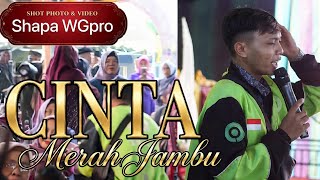 RAFIFA MUSIC | CINTA MERAH JAMBU | LIVE DESA MUARA PENIMBUNG ILIR  INDRALAYA | SHAPA WG CHANNEL