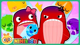 Download Lagu The mother whale gave birth to a baby! | Whale, dolphin, blue whale | Baby whale | Expression play MP3 Download Lagu The mother whale gave birth to a baby! | Whale, dolphin, blue whale | Baby whale | Expression play MP3