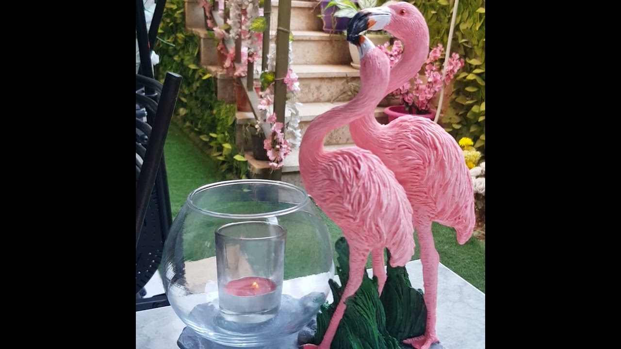 توام النفس واسرار  صمت التوأم الغير المستيقظ 👈 ج6 توام الروح ورسالة ظهوره