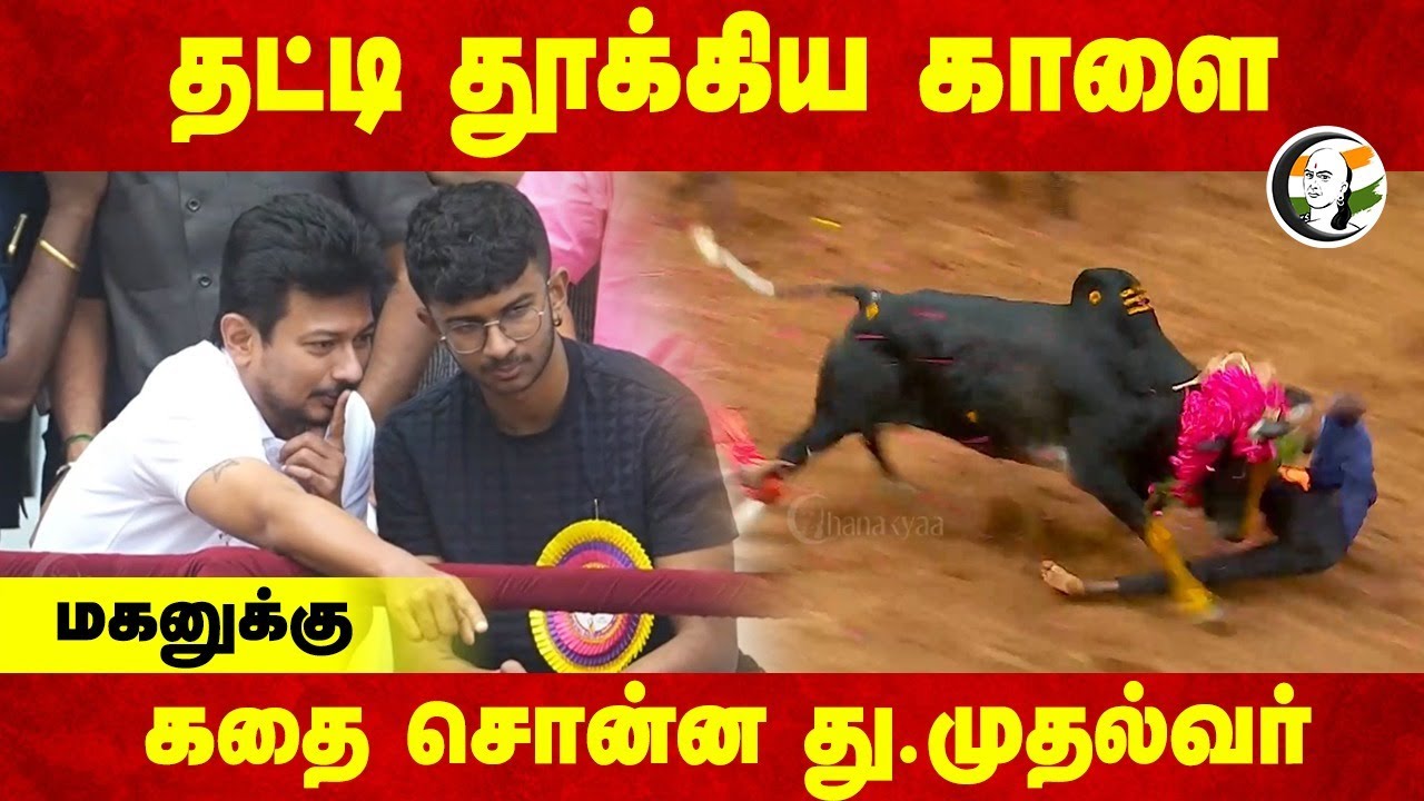 தட்டி தூக்கிய காளை மகனுக்கு கதை சொன்ன  Deputy CM | Alanga Nallur Jallikattu | Udhayanidhi | DMK